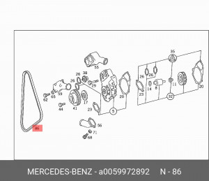 Ремень приводной A0059972892 MERCEDES BENZ